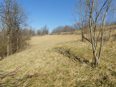 0 Marshall Hill Rd, Ferrum, VA, 24088