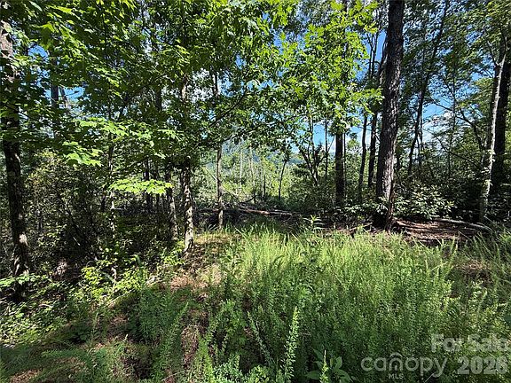 4th image of 999 Fox Ridge Trl #7