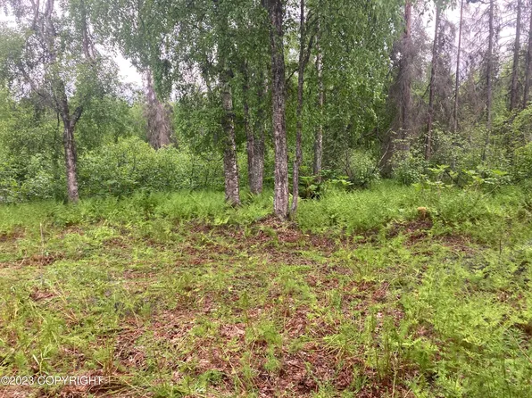 L5 B St E #2, Talkeetna, AK 99676