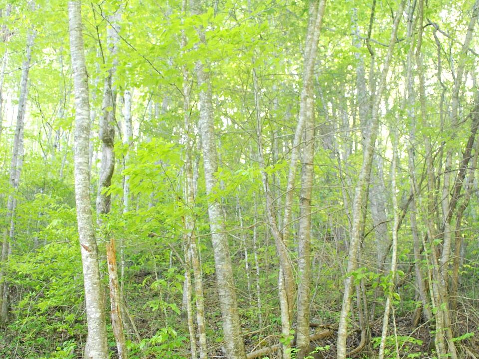 2nd image of 1132 Cole Ln Lot 18