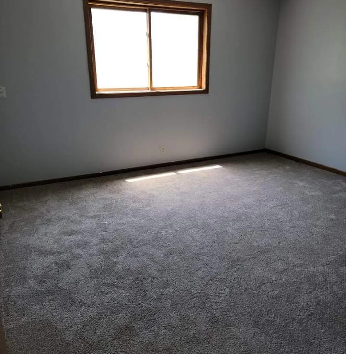 5403 Sugarberry Ct — Photo 3