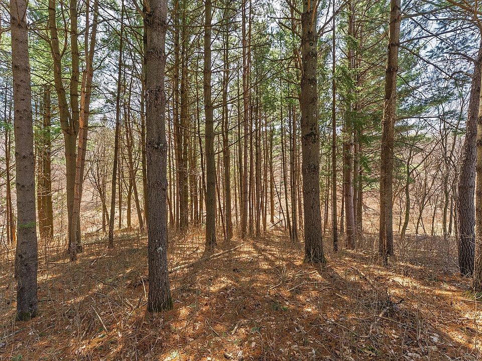 1st image of LOT 63 Staghorn Ct