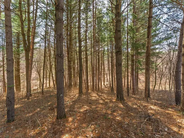 LOT 63 Staghorn Ct, La Valle, WI 53941