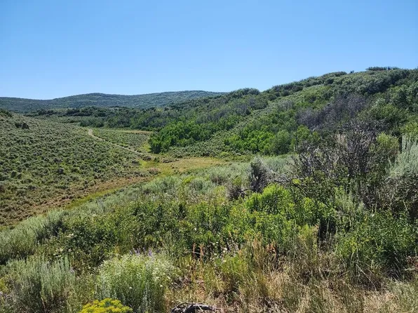 LOT 12 Harrison Creek Rd, Collbran, CO 81624