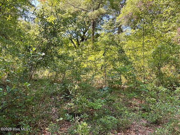 4th image of 104 Polly Lane LOT 4