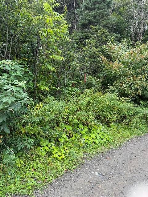 1st image of M 29 L 27 Gagnon Road