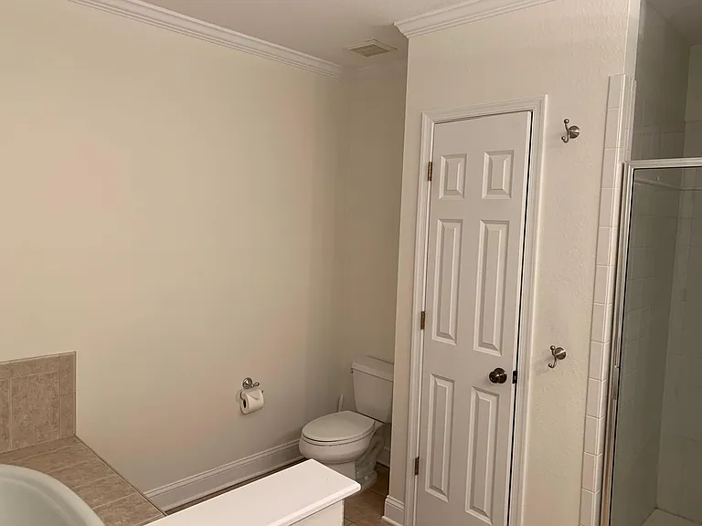 Master bath (linen closet behind that door)