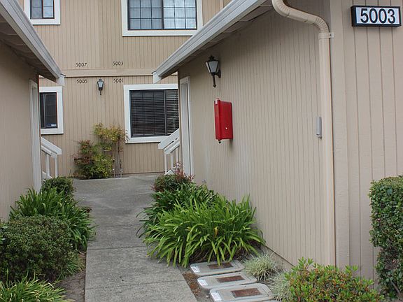 5th image of 5001 Shalimar Cir