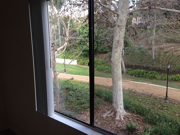 Large living room window