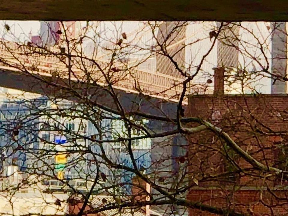 1st image of 80 Gold St APT 3A