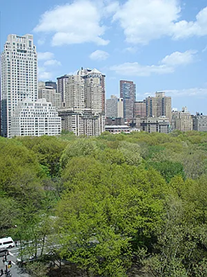 Sold by Saldo Properties | media 2