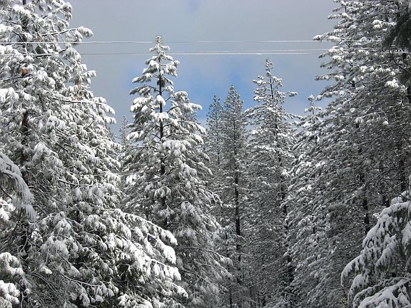 2nd image of 25952 Sugar Pine Dr