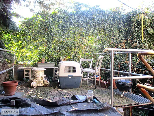 Rented by Native Real Estate LLC | media 22