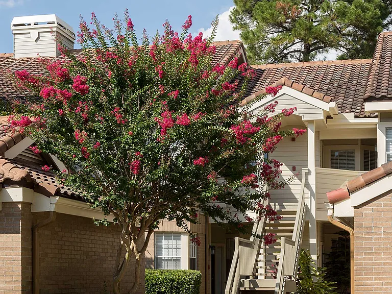 Beautifully Landscaped Grounds
