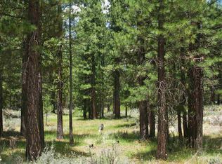 90 Cayden Dr, Clio, CA