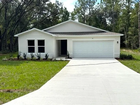 81 Fisher Lane Ct, Ocklawaha, FL 32179