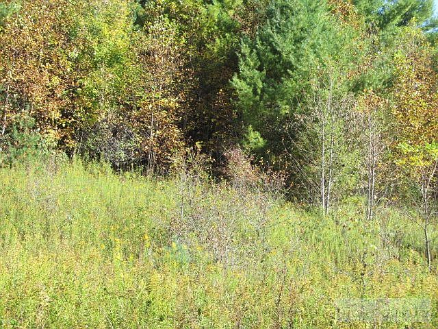 2nd image of Tbd Highway 88