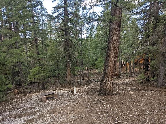 5th image of 2795 E Comanche Dr