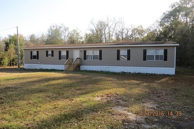 augusta long grove flycatehre 001