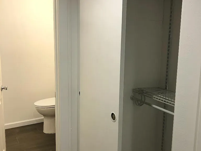 Secondary hall closet and cubby holes