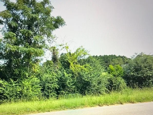 0 Fussell Rd, Leesburg, GA 31763
