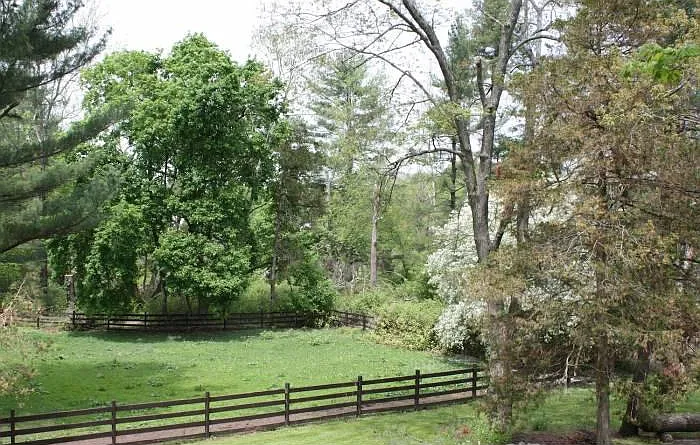 View from living room
