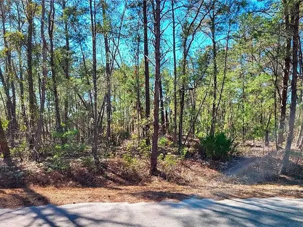 76 SE Fisher Run Ter Lot 11, Ocklawaha, FL 32179