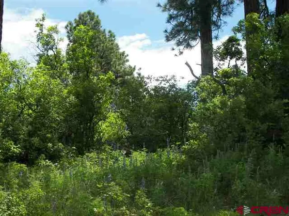 673 Spring Creek Circle, Chromo, CO 81128