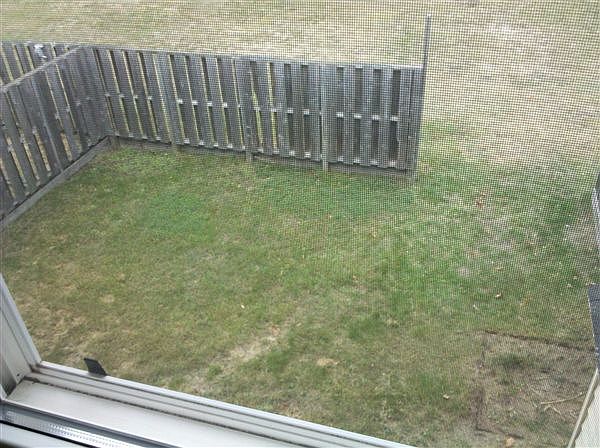 View of Backyard from Upstairs