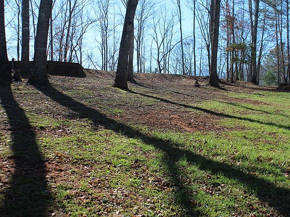 2nd image of 1017 Laurel Branch Rd