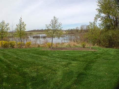 Beautiful Wetland Views