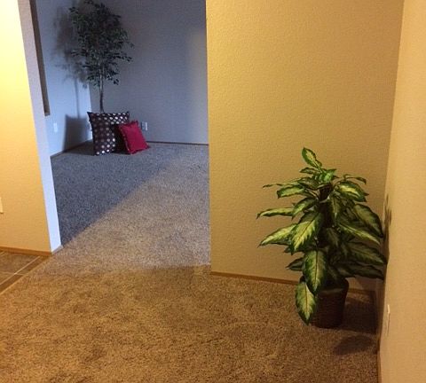 Spacious Entry!