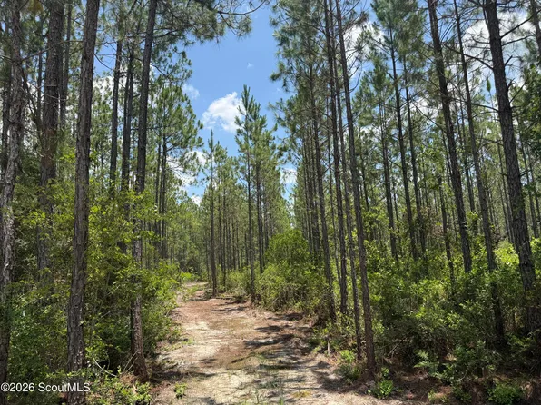 6 Corbitt Rd, Manor, GA 31550