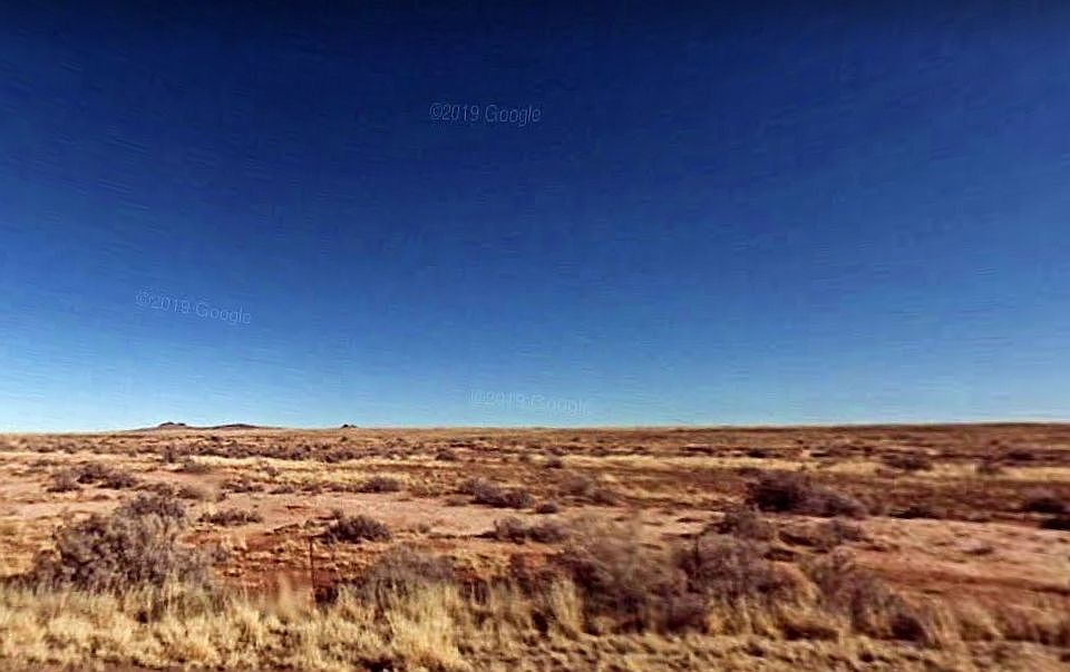 1st image of Shovelhead St #25