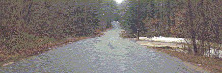 2nd image of 250 N Pond Rd