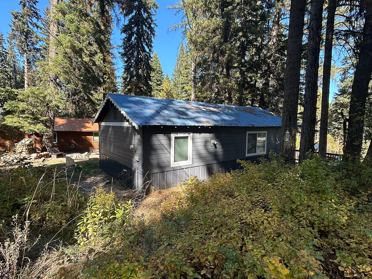 2 bed, 800 sqft, $1,150 — Photo 2