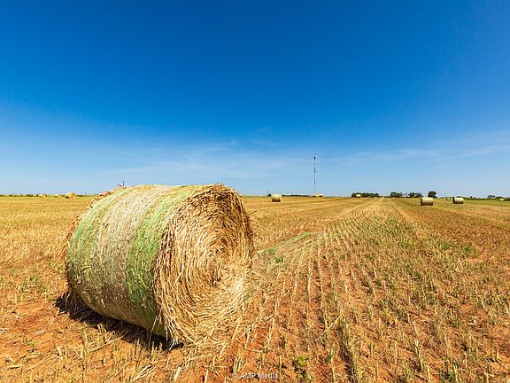 5th image of 2746 Fm