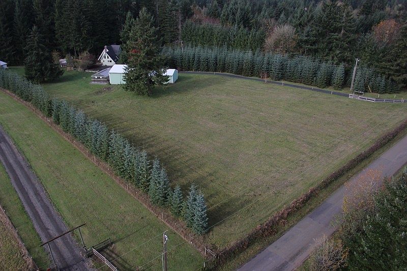 Aerial View of Property