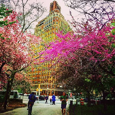 Rented by Owner | media 12