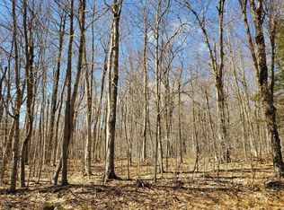 Ravnikar Rd, Forest City, PA 18421