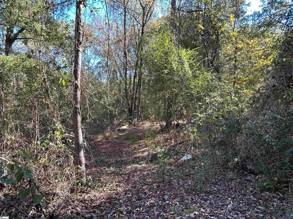 0 Serene Dr, Waterloo, SC 29384