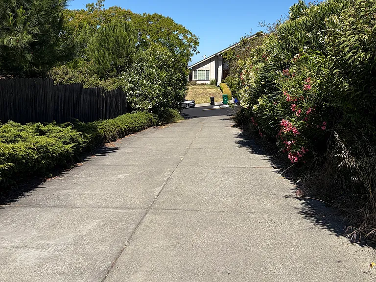 3738 Painted Pony Rd — Photo 17