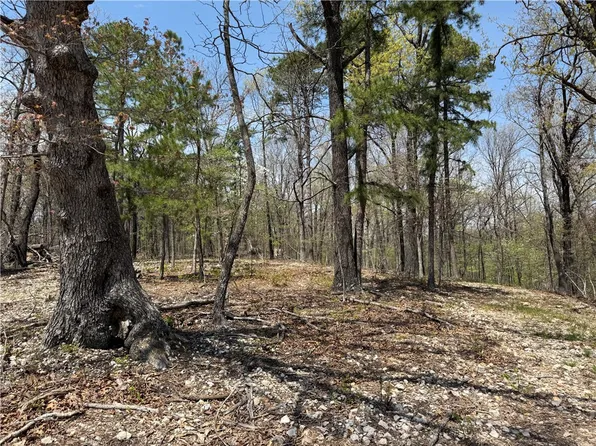 County Road 1027 #9, Eureka Springs, AR 72632