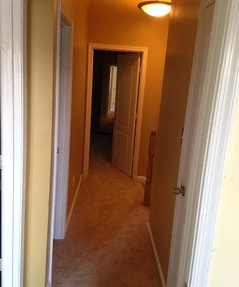 7922 Beach Plum Ln — Photo 13