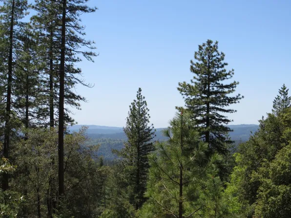 Golden Arrow Lodge Rd, Gold Run, CA 95717
