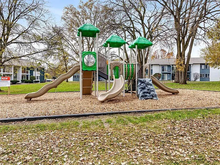 Renew Madison — Photo 14
