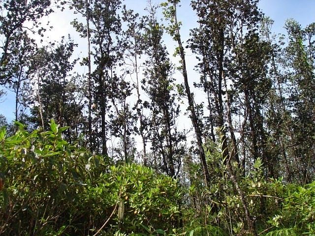 2nd image of Plumeria Dr Lot 28