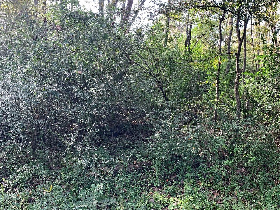 2nd image of LOT 11 George Kersh Dr Lot 11