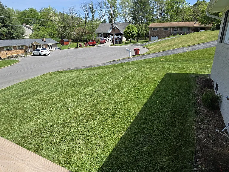 2 Lambeth Ct — Photo 4