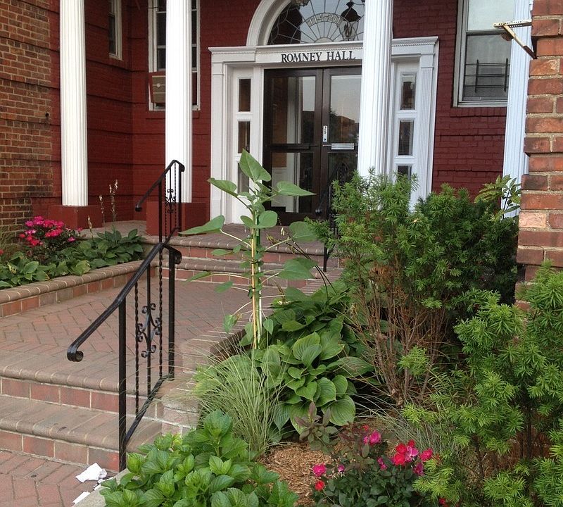 1st image of 11420 Queens Blvd APT A6